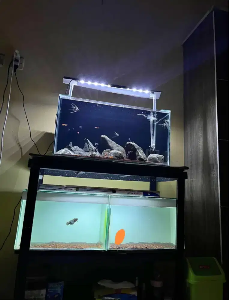 aquarium 3pc beserta ikan & rak