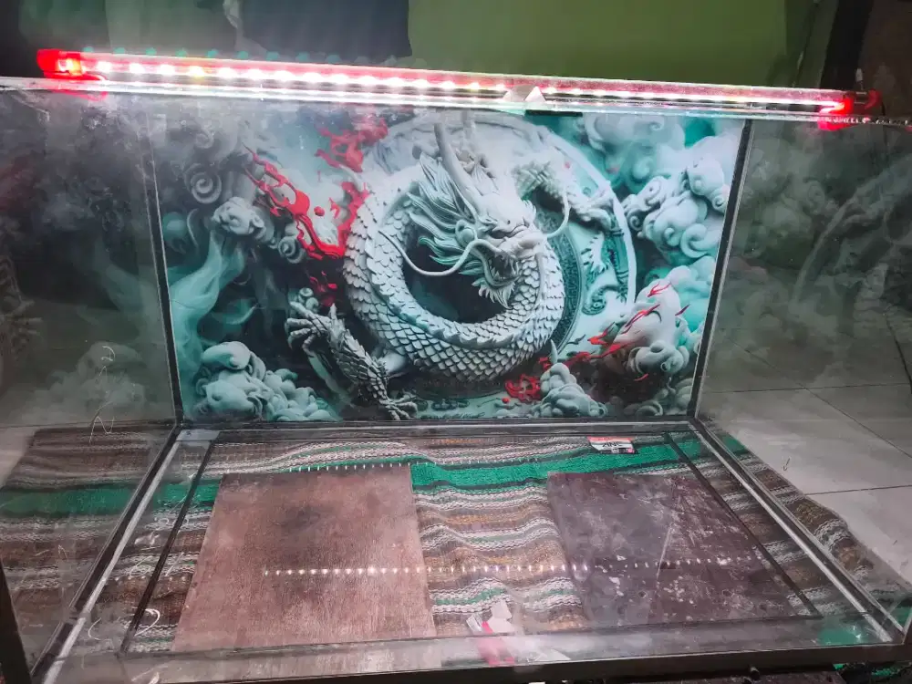 Aquarium 100*60*60