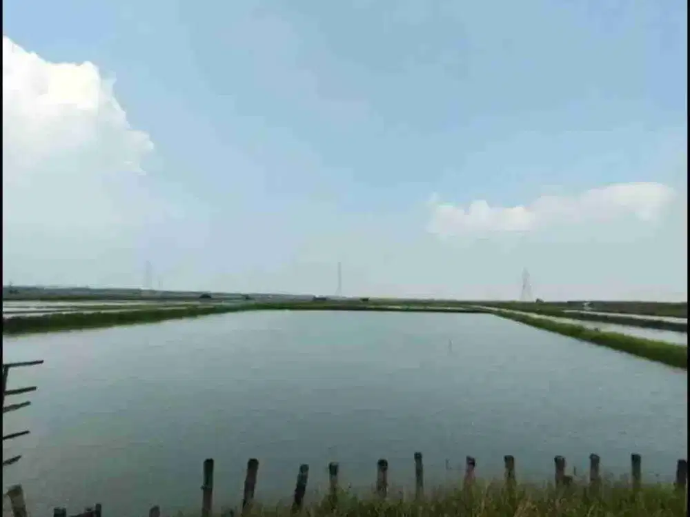 Dijual Tanah Tambak Raya Jawar Benowo Surabaya Barat