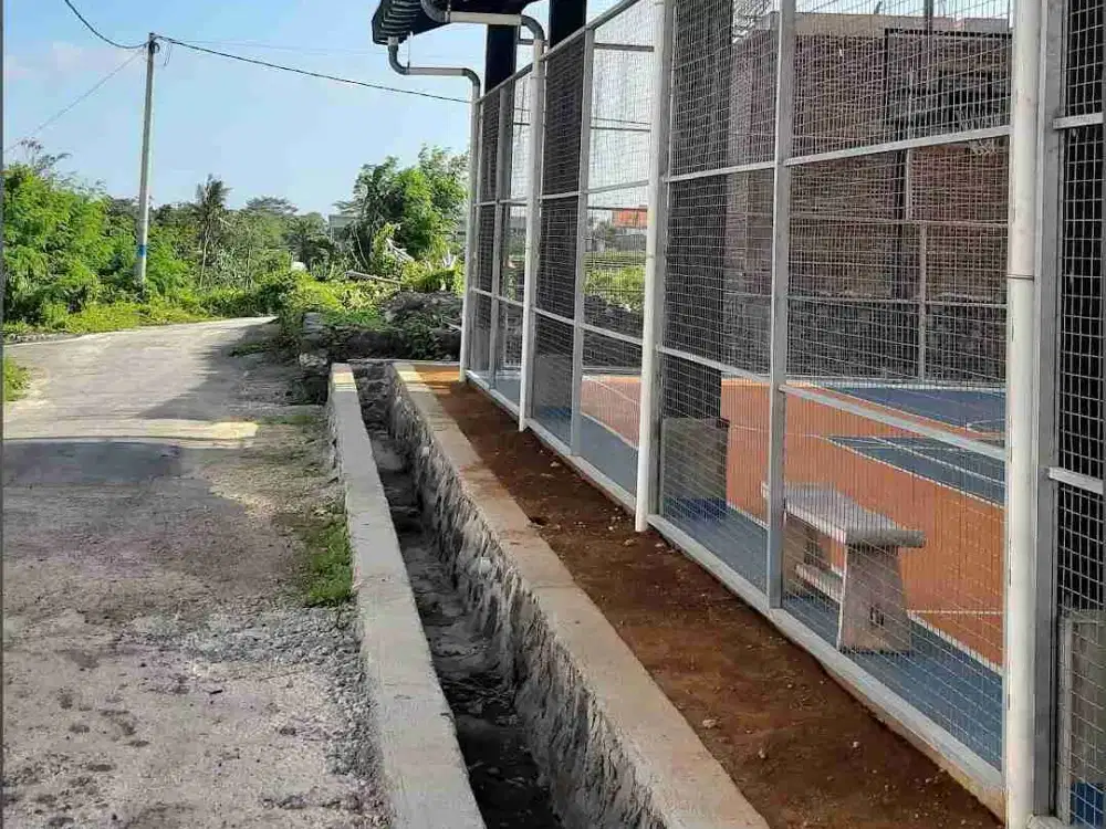 TANAH LUASAN KECILPERERENAN JAKAN SEMPOL TERSEDIA 2 PLOT COCOK UNTUK VILLA GUESTHOUSE - Thumbnail 6