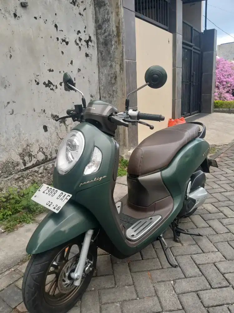 Scoopy Prestige 2023