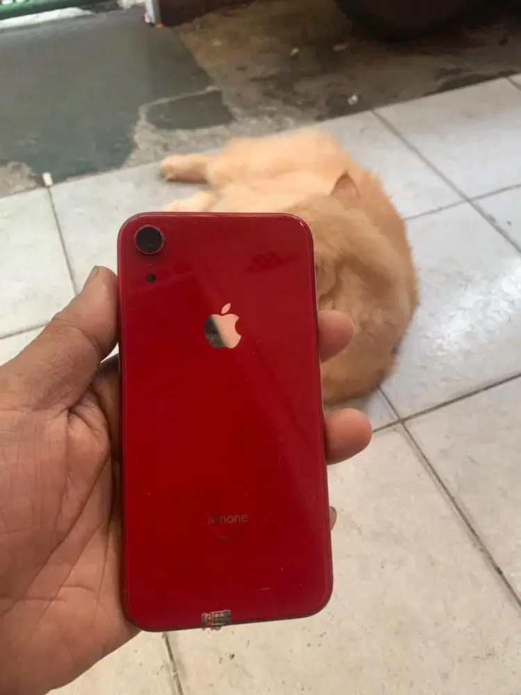 Iphone xr bekas pakai