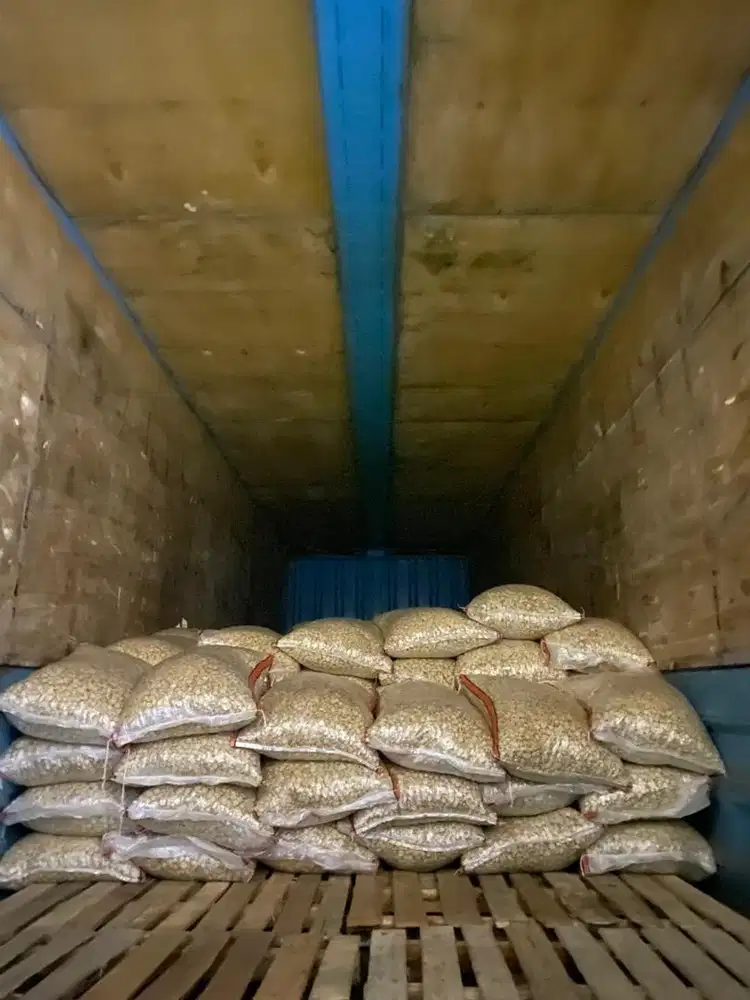 Di cari pekerja sortir dan bongkar muat
