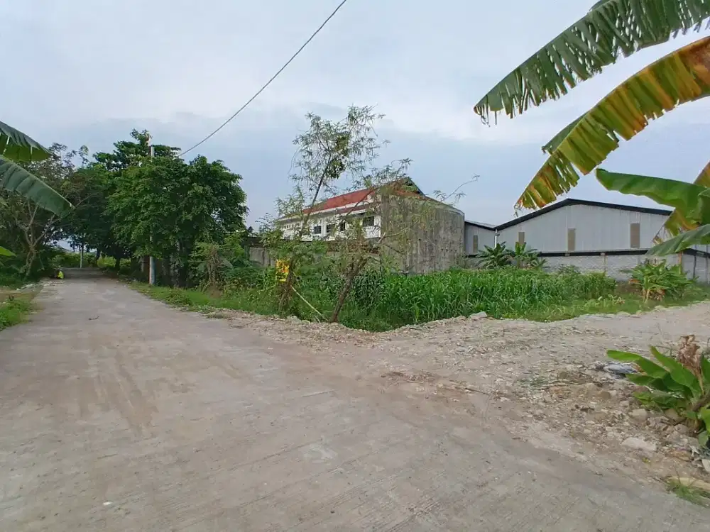 Tanah murah digetas pejaten kudus dekat jalan raya.