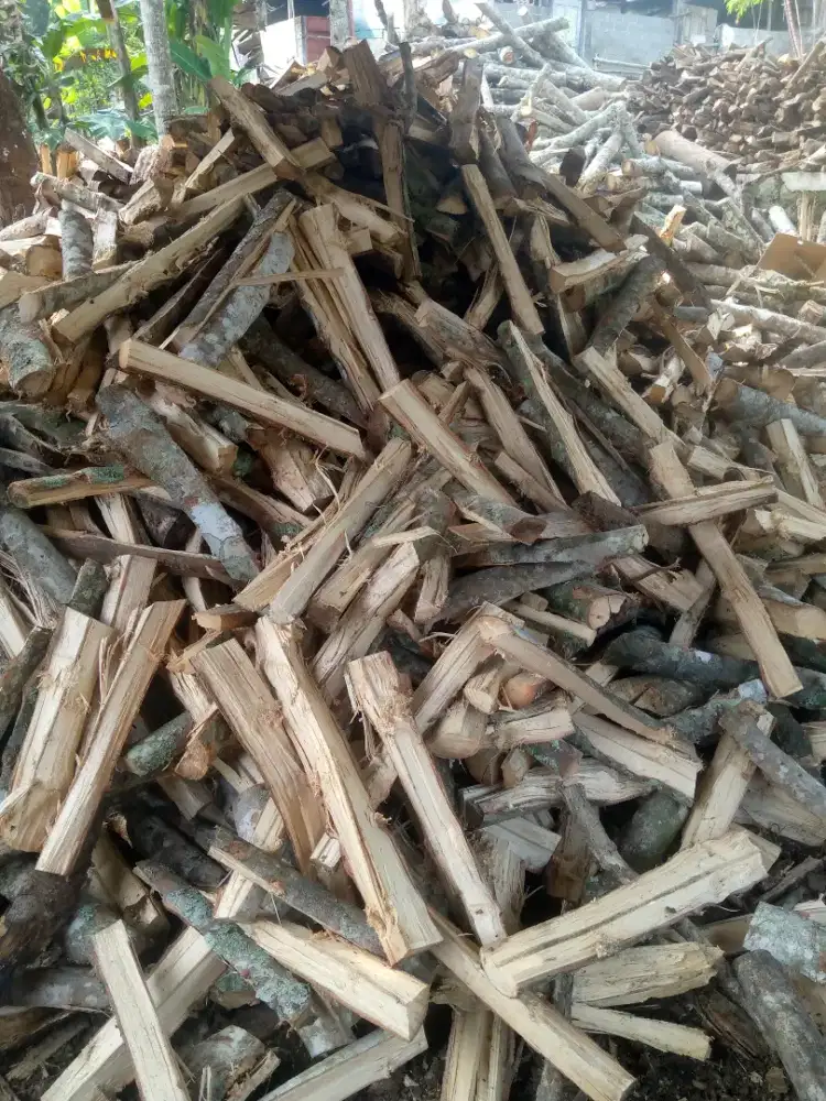 Kayu karet bakar