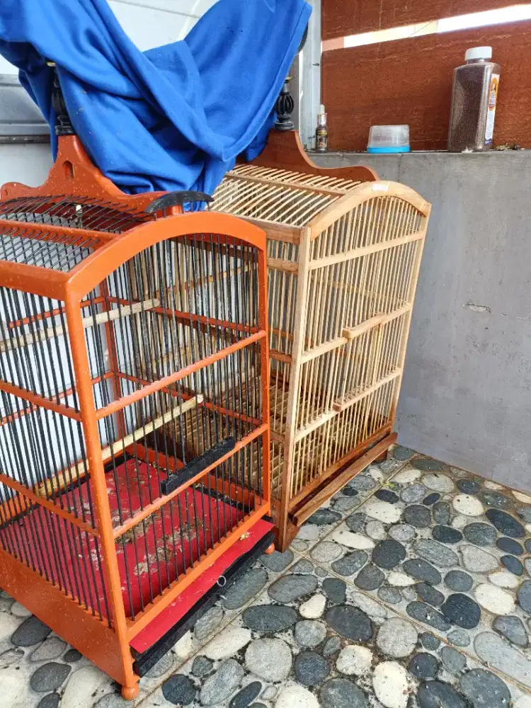 2 buah sangkar ukuran 30x60