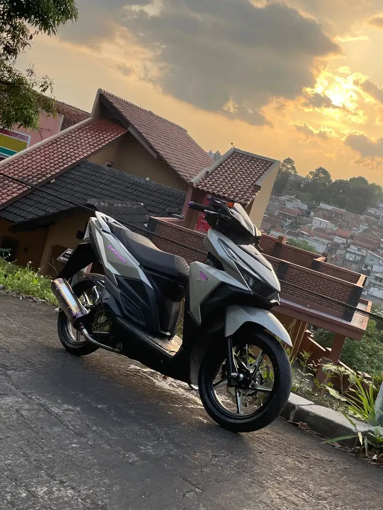 VARIO 59 tb ecu by bbs