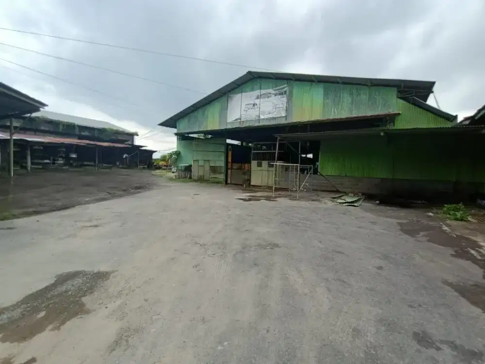 Gudang Strategis daerah Majapahit Semarang - 8506