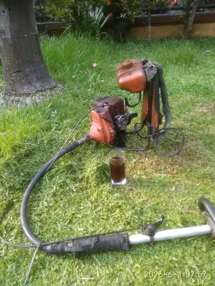 Potong rumput dan perawatan kebun rumah