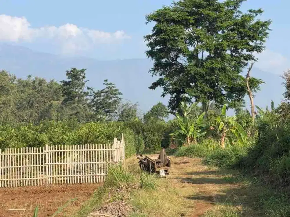 tanah kavling malang shm on hand di joyogrand atas murah