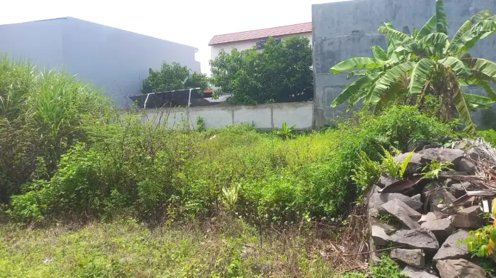 TANAH SIAP BANGUN KOST MULAWARMAN UNDIP TEMBALANG