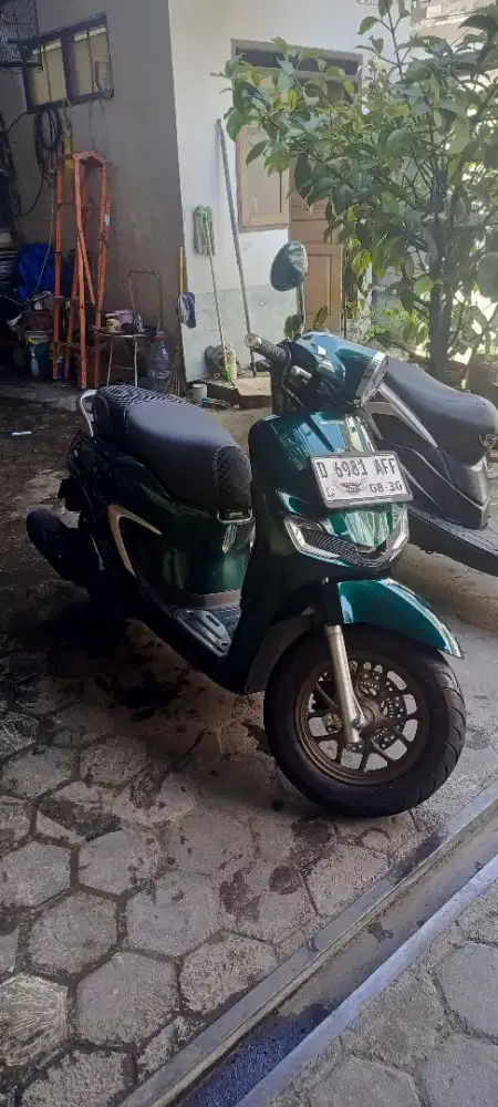 STYLO ABS GREEN 2025 SECOND