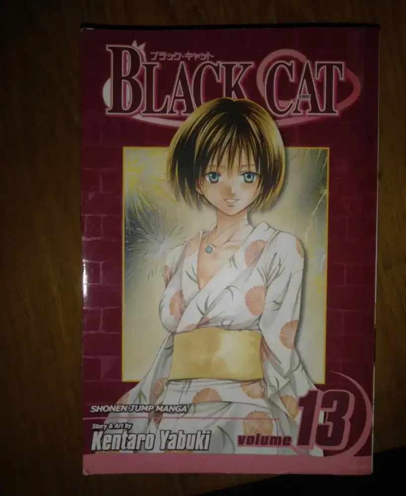 BLACK CAT Vol. 13 – Viz Media English (1st Print)