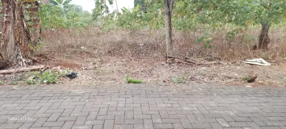 TANAH SIAP BANGUN MULAWARMAN UNDIP TEMBALANG