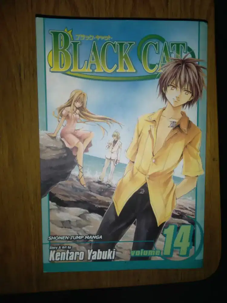 BLACK CAT Vol. 14 – Viz Media English (1st Print)