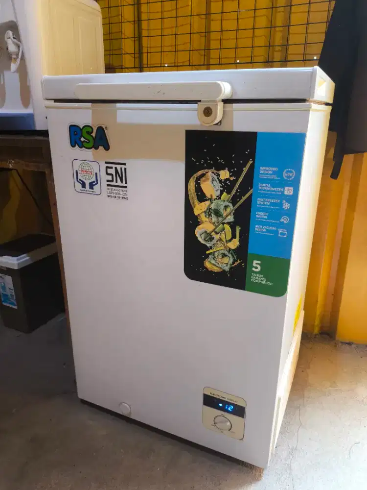 Freezer RSA 100 Liter