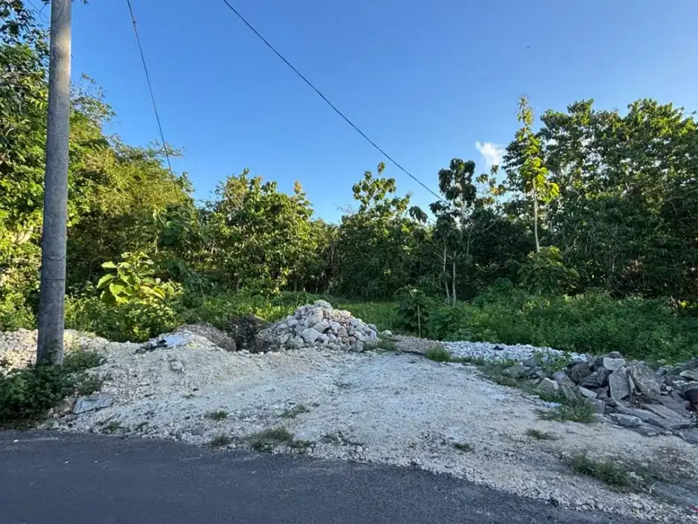 TANAH STRATEGIS DI UNGASAN 300M DARI JALAN RAYA ULUWATU