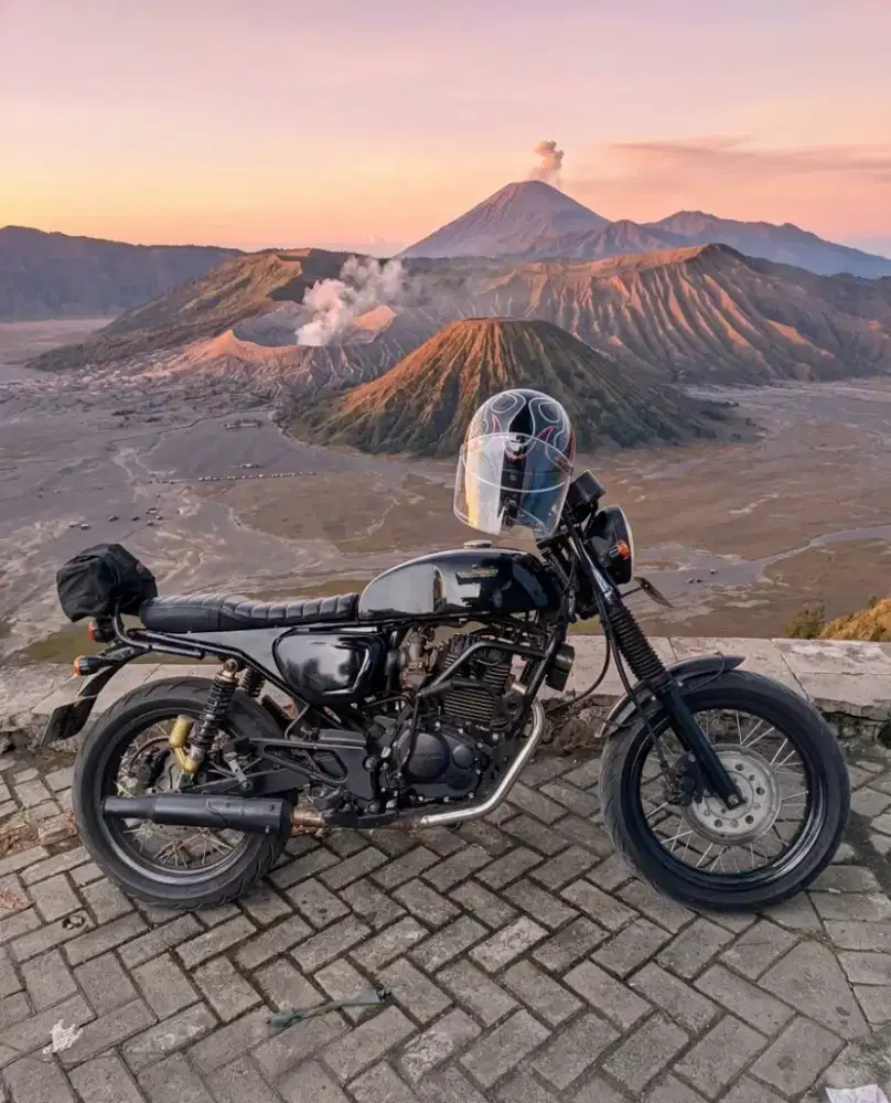 Tiger 2005 Custom Scrambler