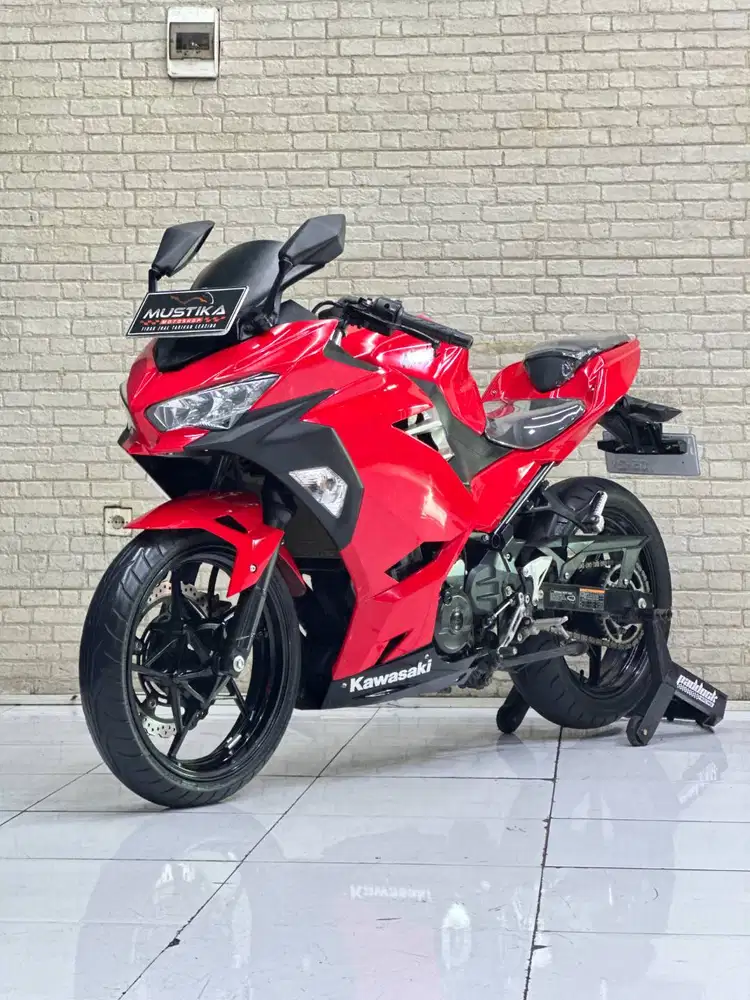 All New Ninja 250 Low Kilometer