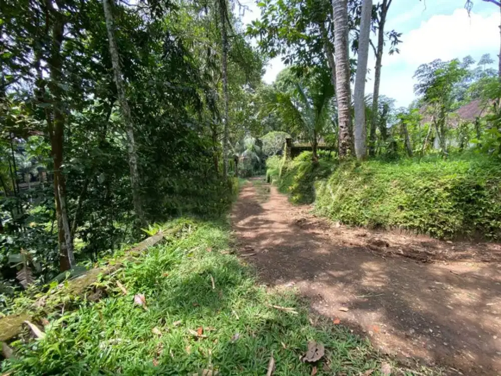 FREEHOLD LAND FOR SALE IN UBUD