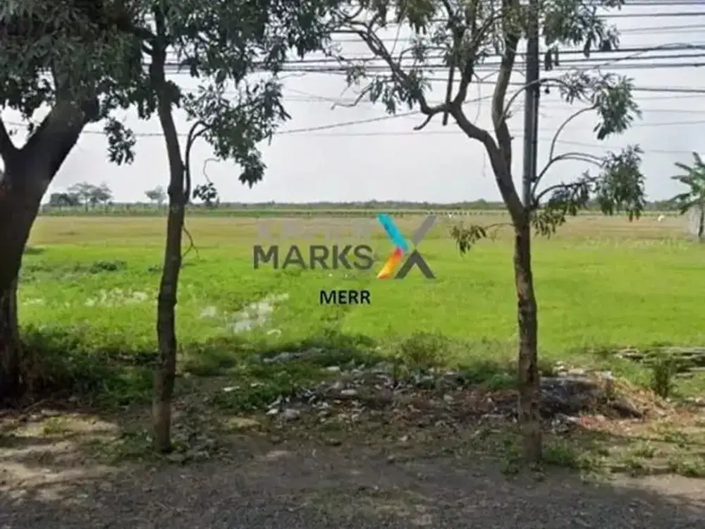 Dijual Tanah di Raya Kraksaan Probolinggo Jalan Utama