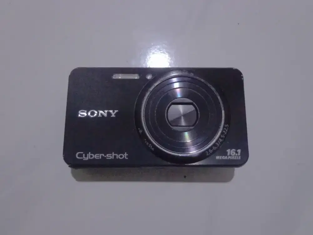 Sony Digicam Cybershot DSC W570