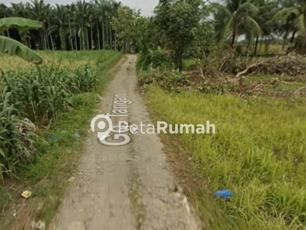 DIJUAL TANAH JALAN USKUP GANG TARIGAN - PANCUR BATU (WANDYAGO)