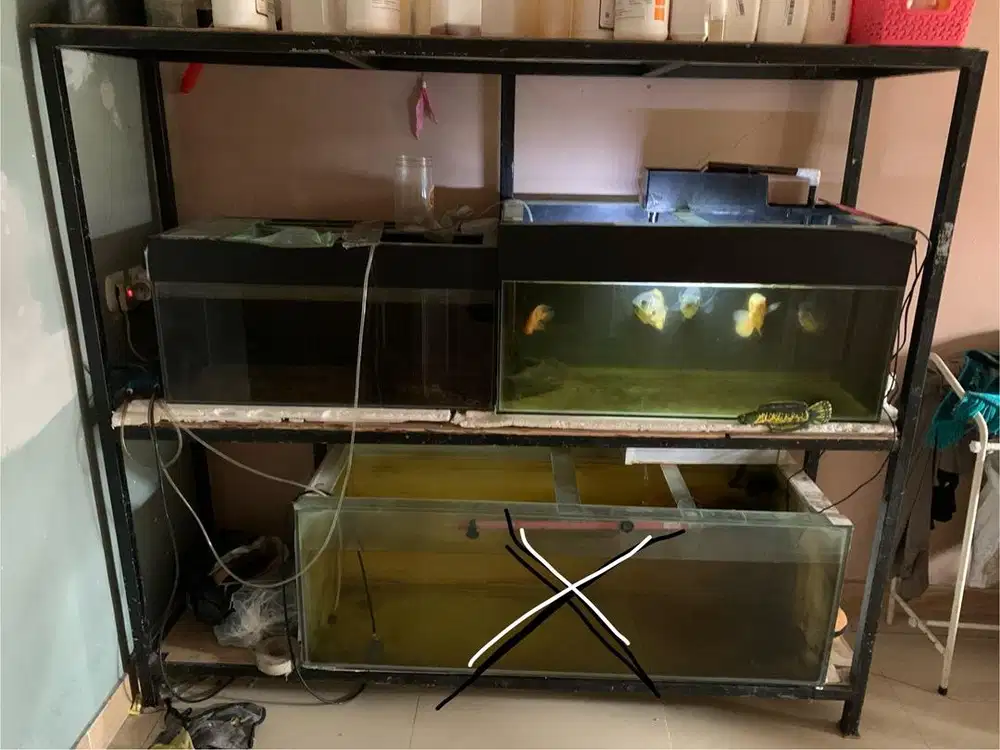 Rak dan aquarium