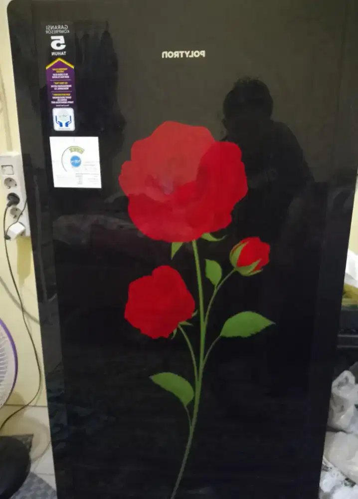 Kulkas polytron 1 pintu