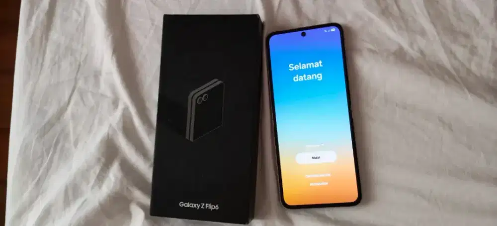 Flip 6 SEIN Galaxy