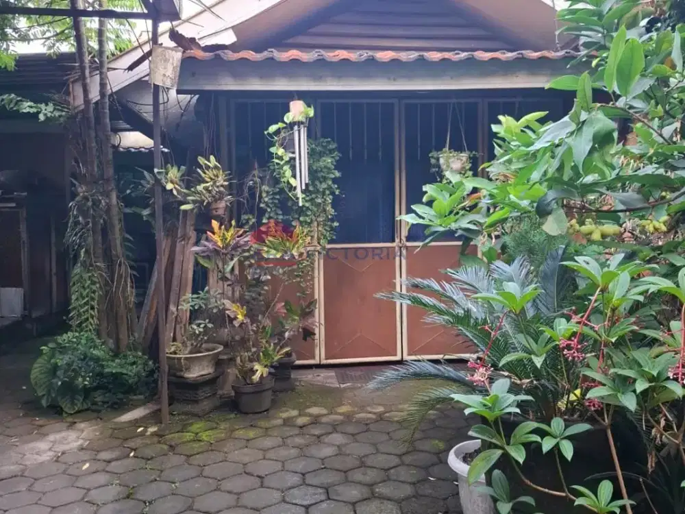 Rumah Strategis Tengah Kota Malang Cocok untuk Usaha, Investasi