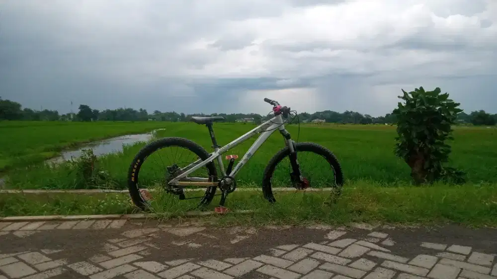 Polygon Cozmic DX 4.0