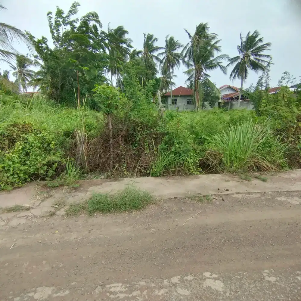 Tanah 800 meter di Atek Munjeng