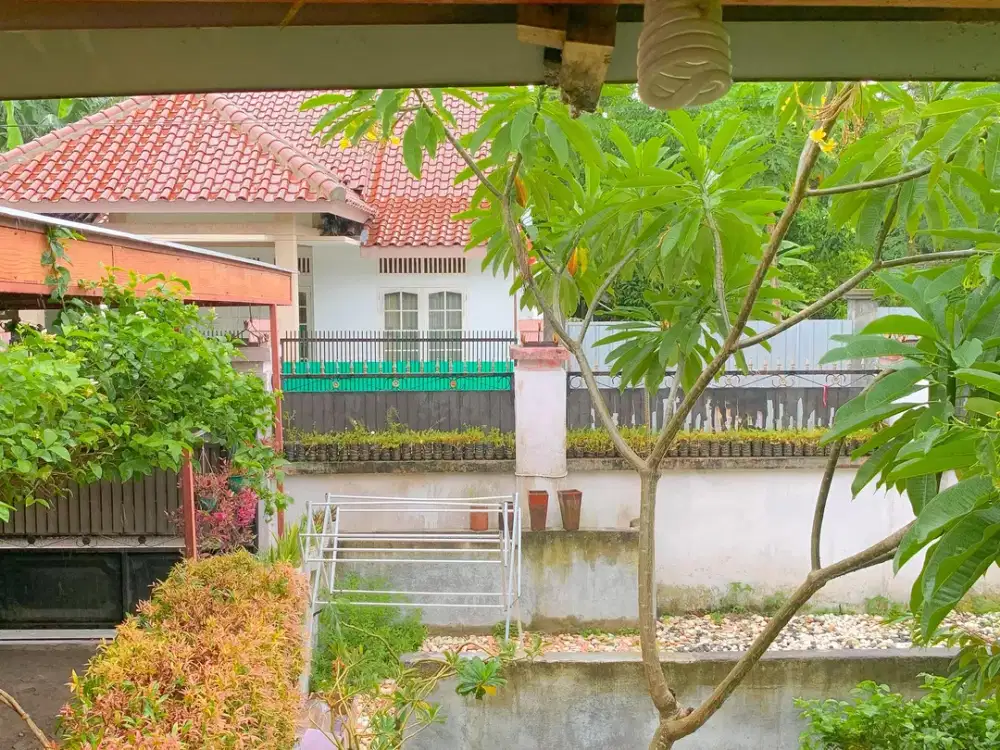 Tanah di dekat jalan Panjitilar Mataram