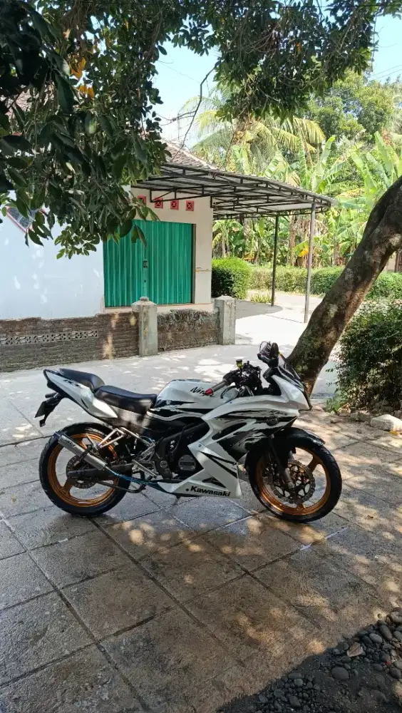 ninja rr new 2013