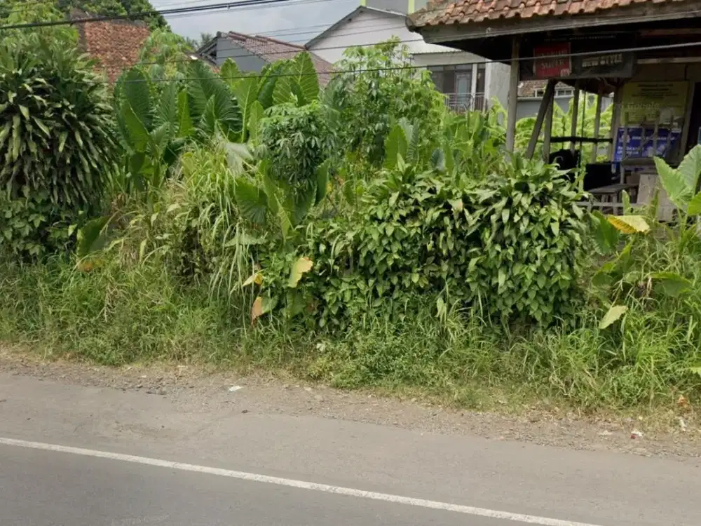 DIJUAL TANAH STRATEGIS MAINROAD COCOK UNTUK USAHA CIAMIS