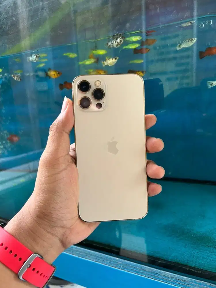 iphone 12 pro 256gb
