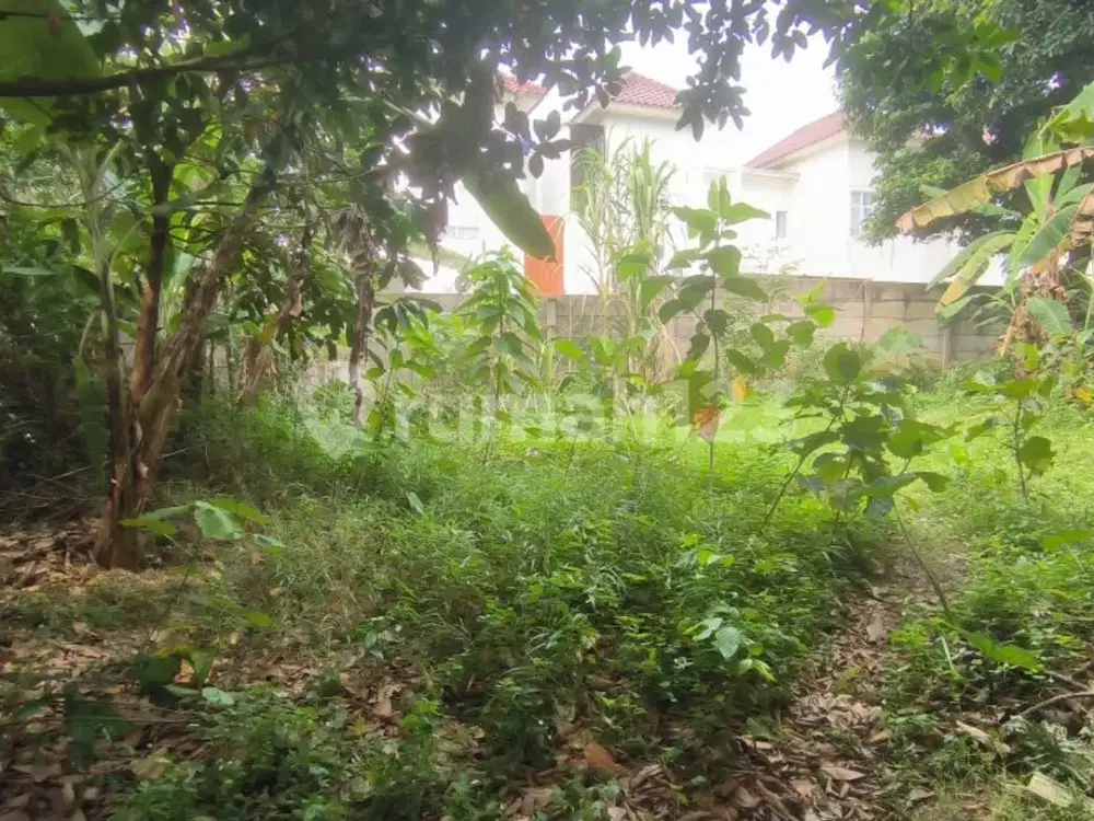Dijual Tanah Produktif