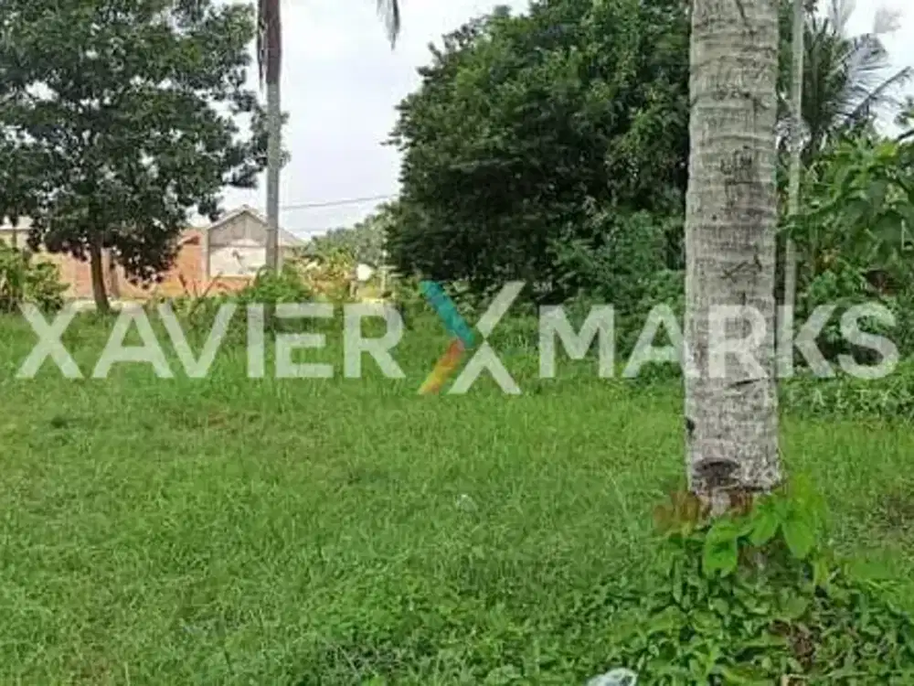 Dijual Tanah Strategis Di Talang Jambe