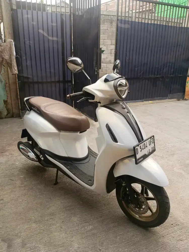 Grand Filano Lux 2023