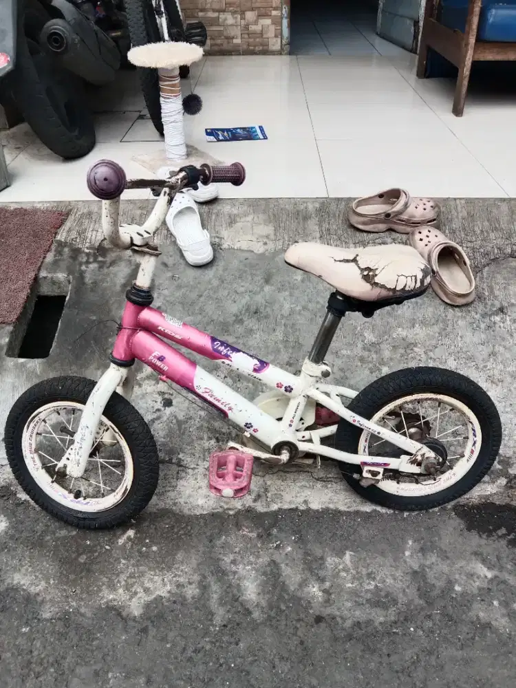 Sepeda anak kecil 12