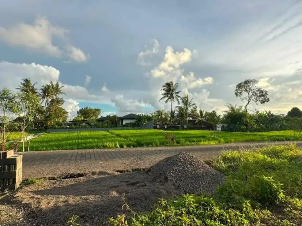 TANAH VIEW SAWAH DI RAYA TUNON SINGAKERTA UBUD GIANYAR
