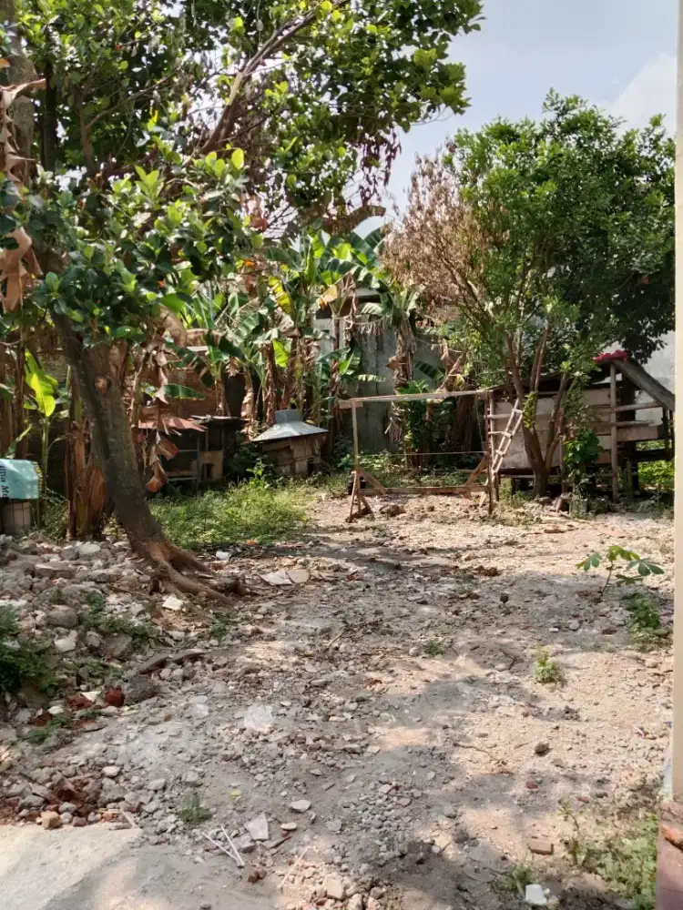 Tanah Pekarangan