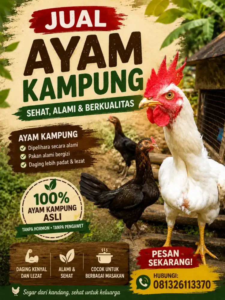 Ayam kampung umbaran