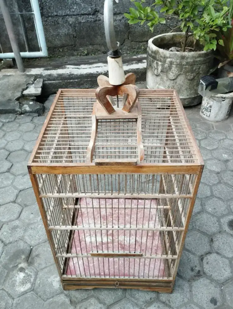Sangkar burung kotak kayu
