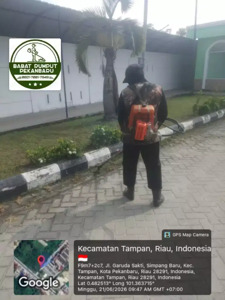POTONG RUMPUT MURAH PEKANBARU TERIMA KERJA SAMA