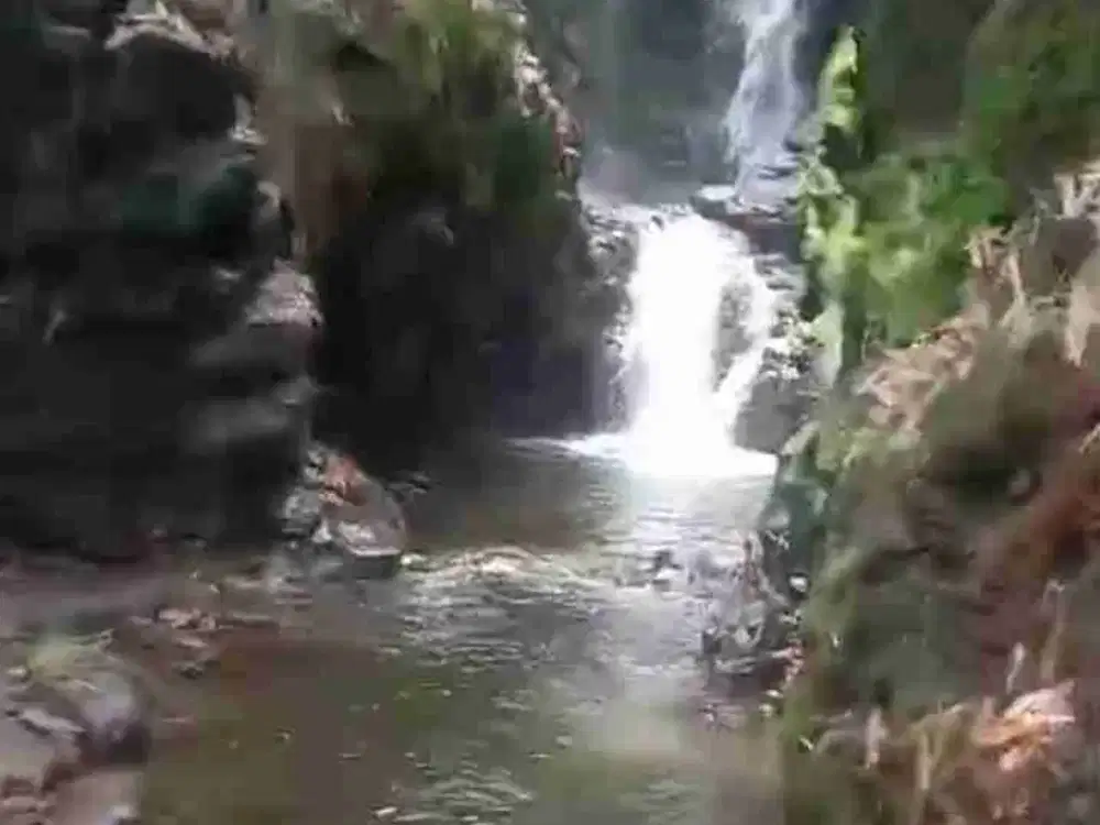 Tanah Subang Shm Termurah belakang Sariater bisa split 2 ha minimal
