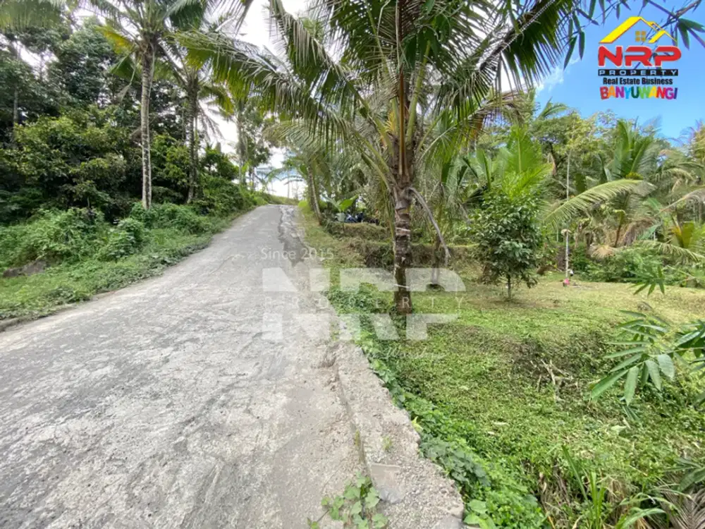 Dijual Tanah tepi sungai di Licin Banyuwangi