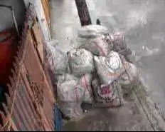 PUING PUING GRATIS