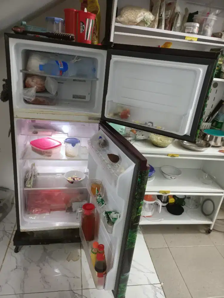 Kulkas SHARP 2 pintu